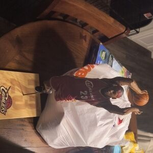 Cleveland Cavaliers Basketball Figure